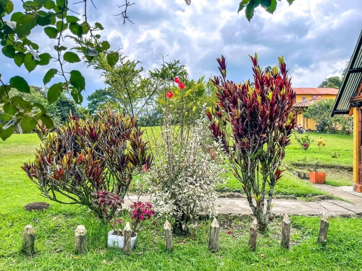 Numbana * San Agustin (Huila)